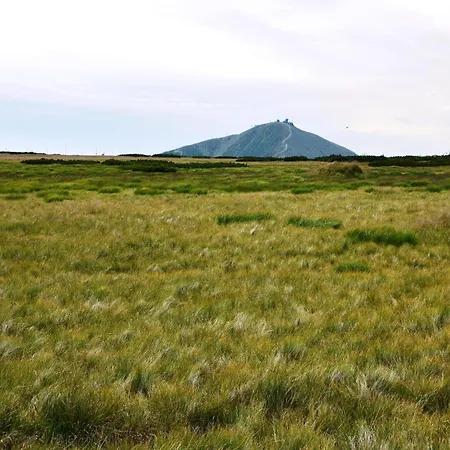 Near Slopes *