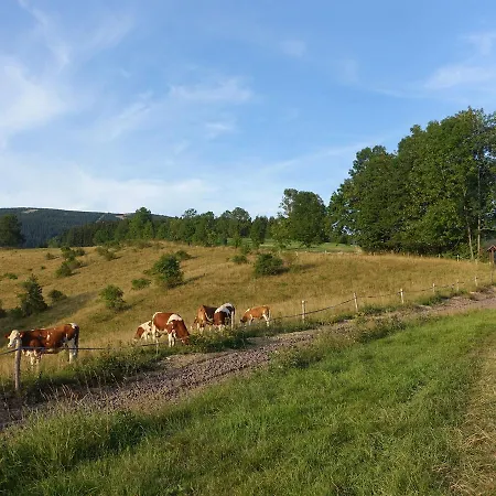 Διαμέρισμα Near Slopes Rokytnice nad Jizerou