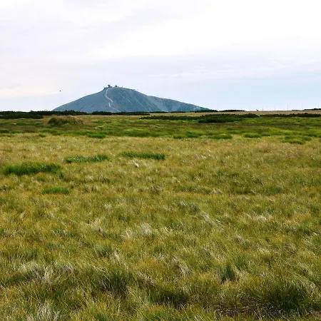 Near Slopes *
